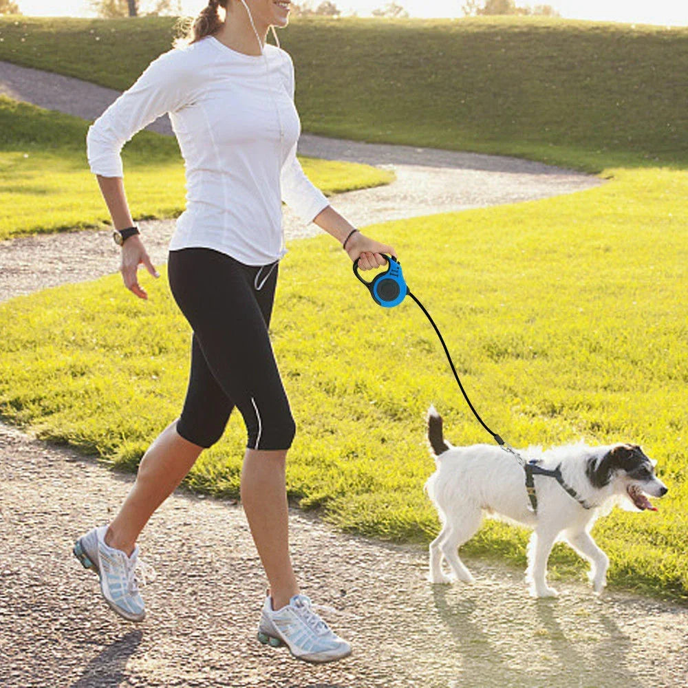 Chapi Freedom Leash used on a dog walk in the park